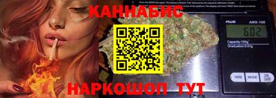 гидра Заводоуковск