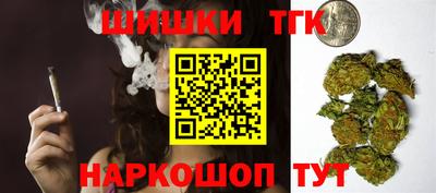 гидра Заводоуковск