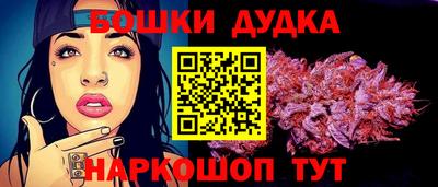 гидра Заводоуковск
