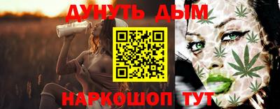 гидра Заводоуковск