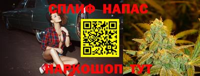 гидра Заводоуковск