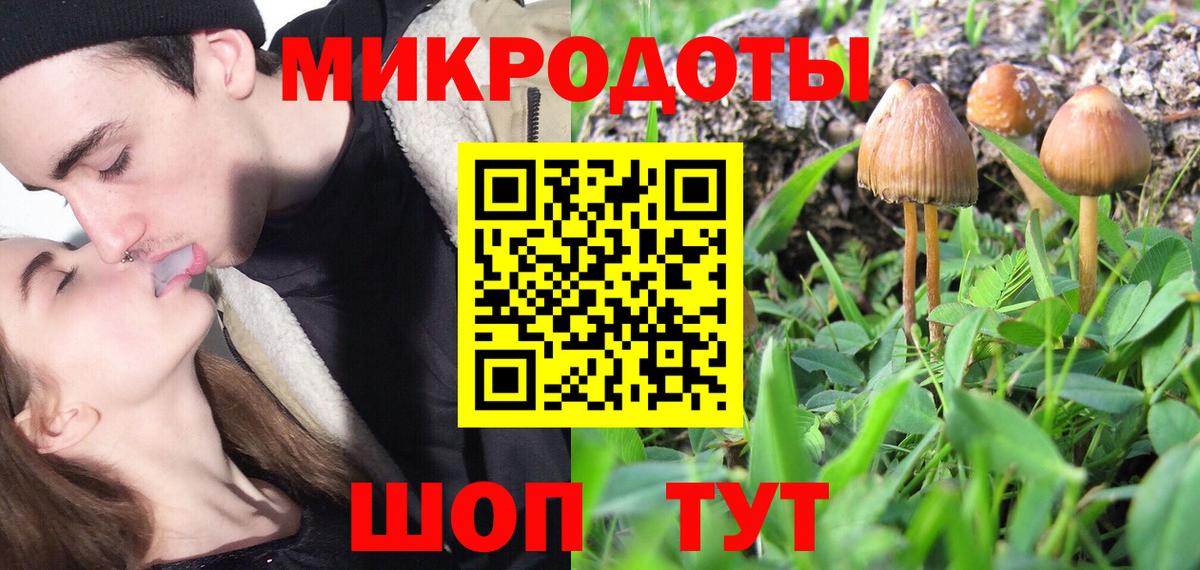 Псилоцибиновые грибы MAGIC MUSHROOMS Майкоп