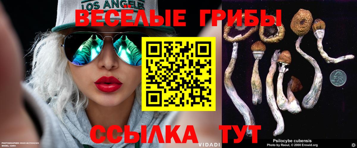 Майкоп  Галлюциногенные грибы Magic Shrooms  как найти   Псилоцибиновые грибы Cubensis  Вход с VPN 
