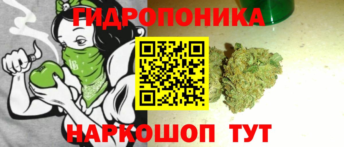 Каннабис Bruce Banner Майкоп